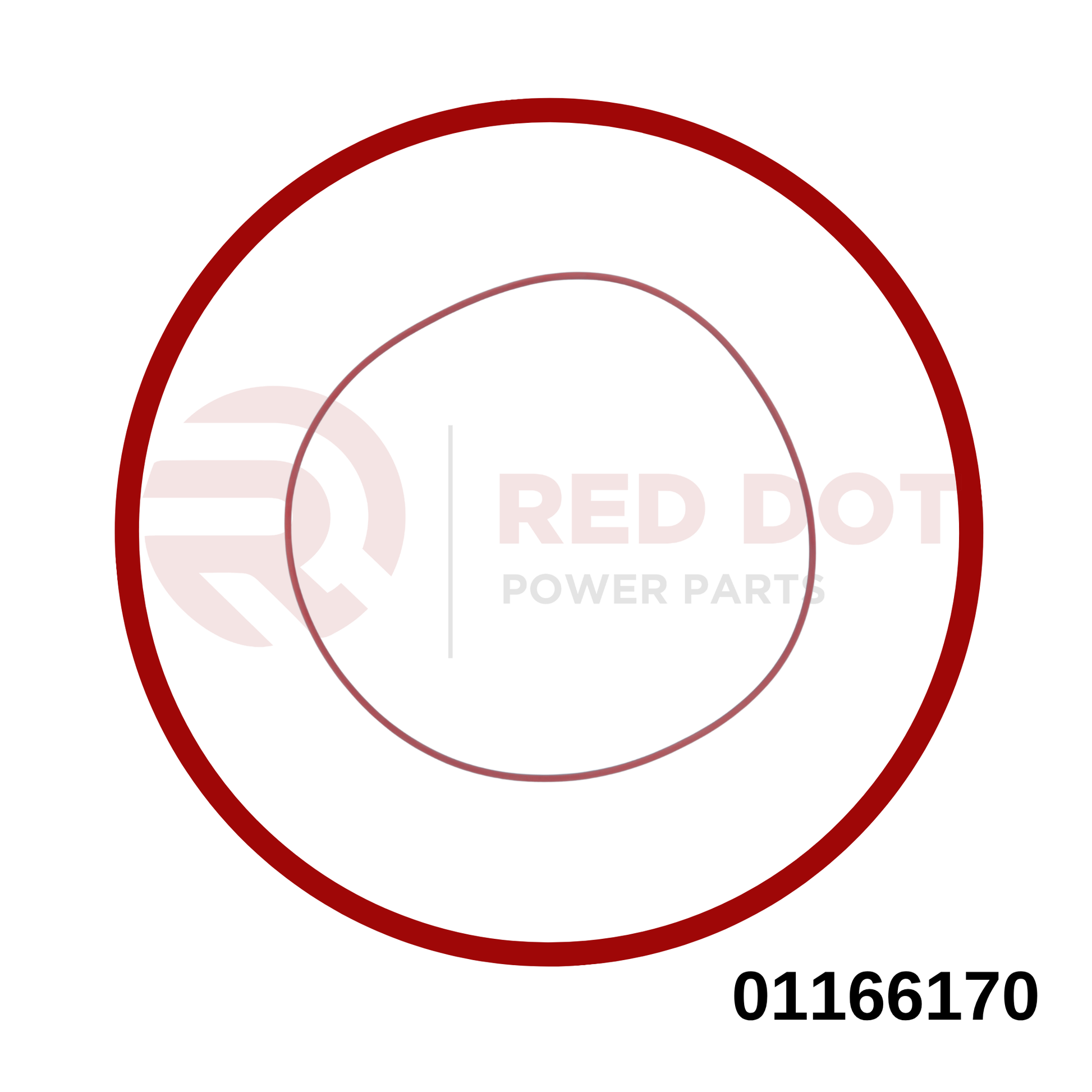 Runddichtring VGL 01166170 MWM