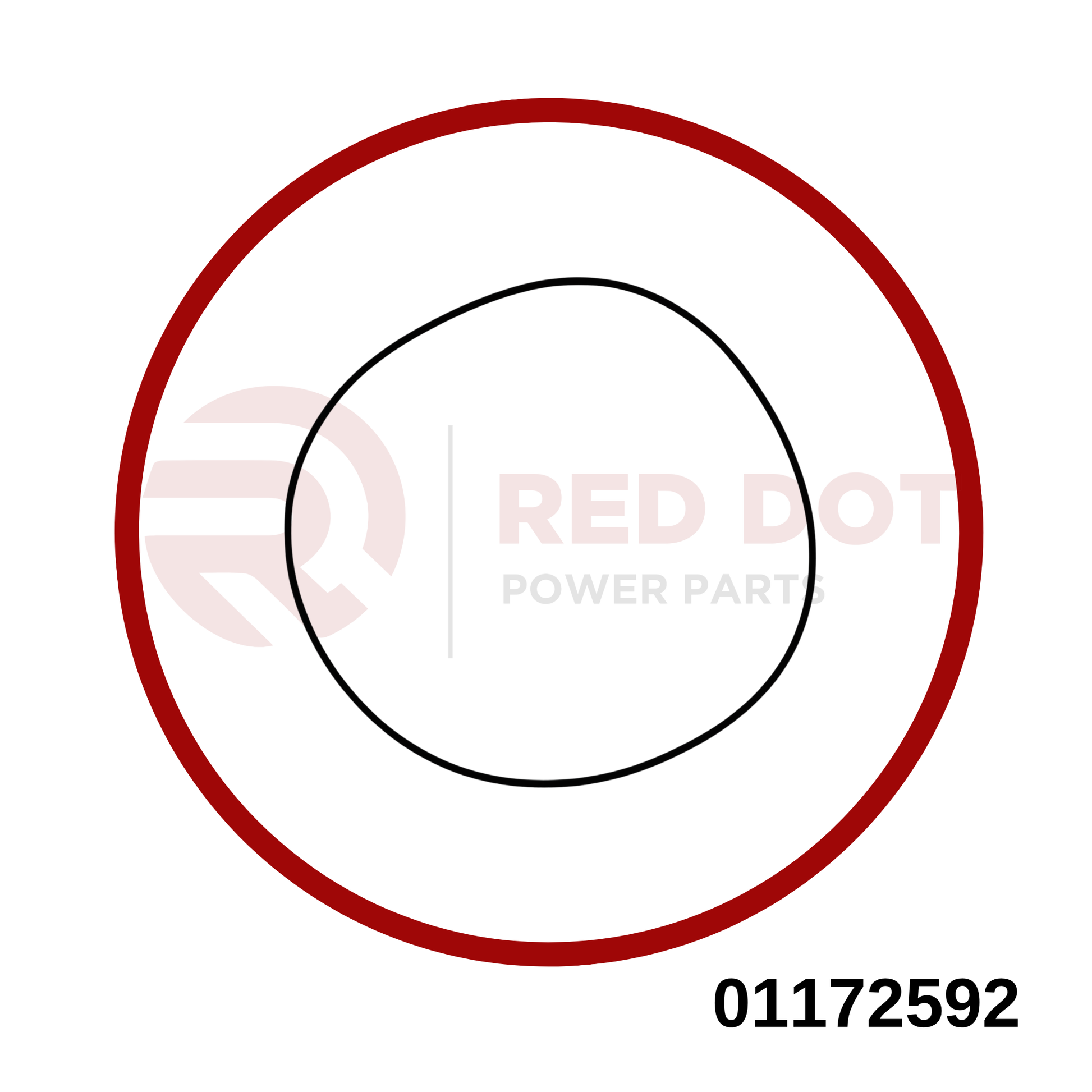 Dichtring VGL 01172592 MWM