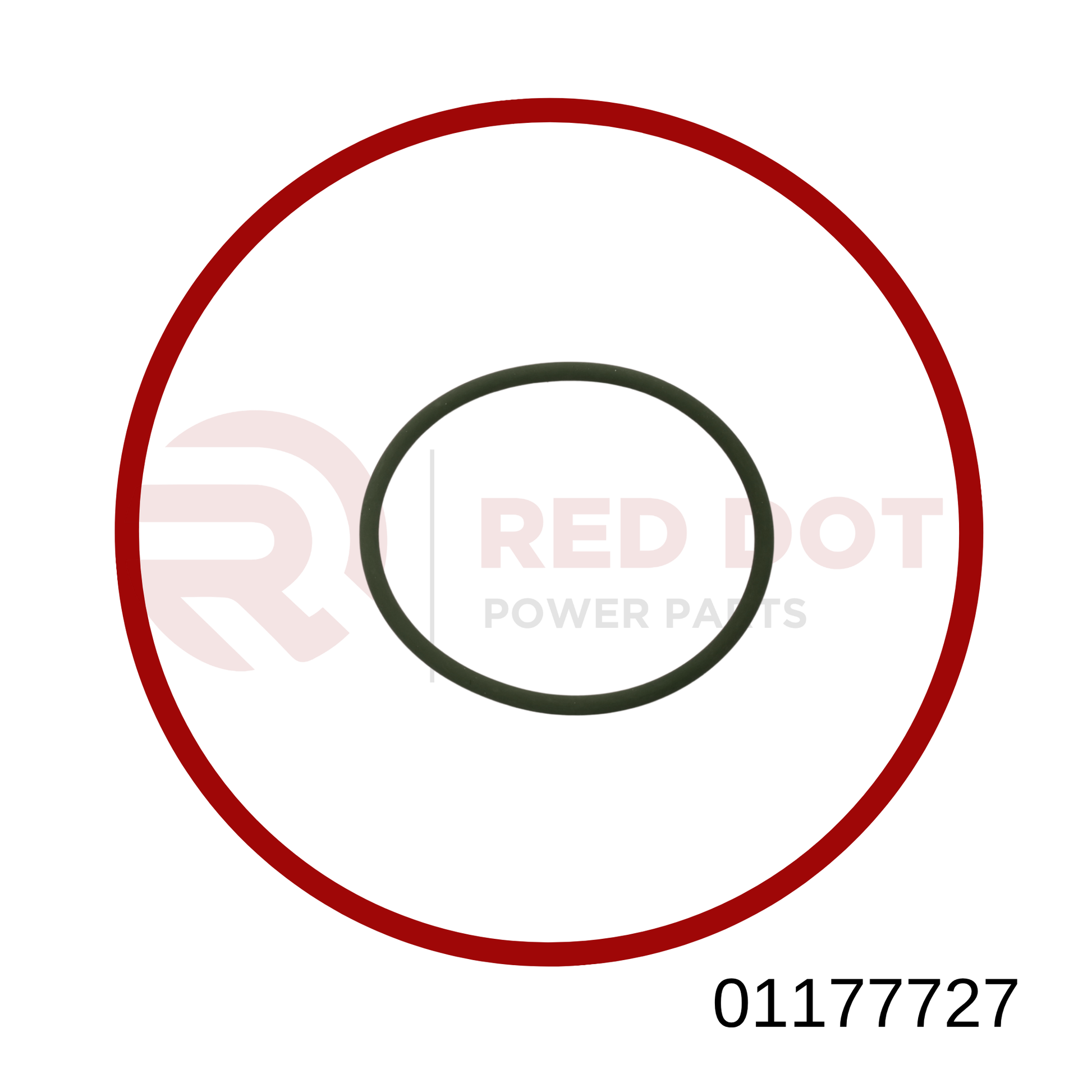 Runddichtring VGL 01177727 MWM