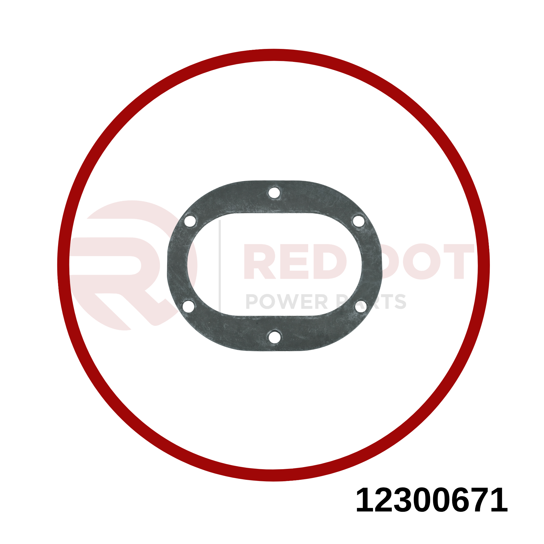 Dichtung VGL 12300671 MWM