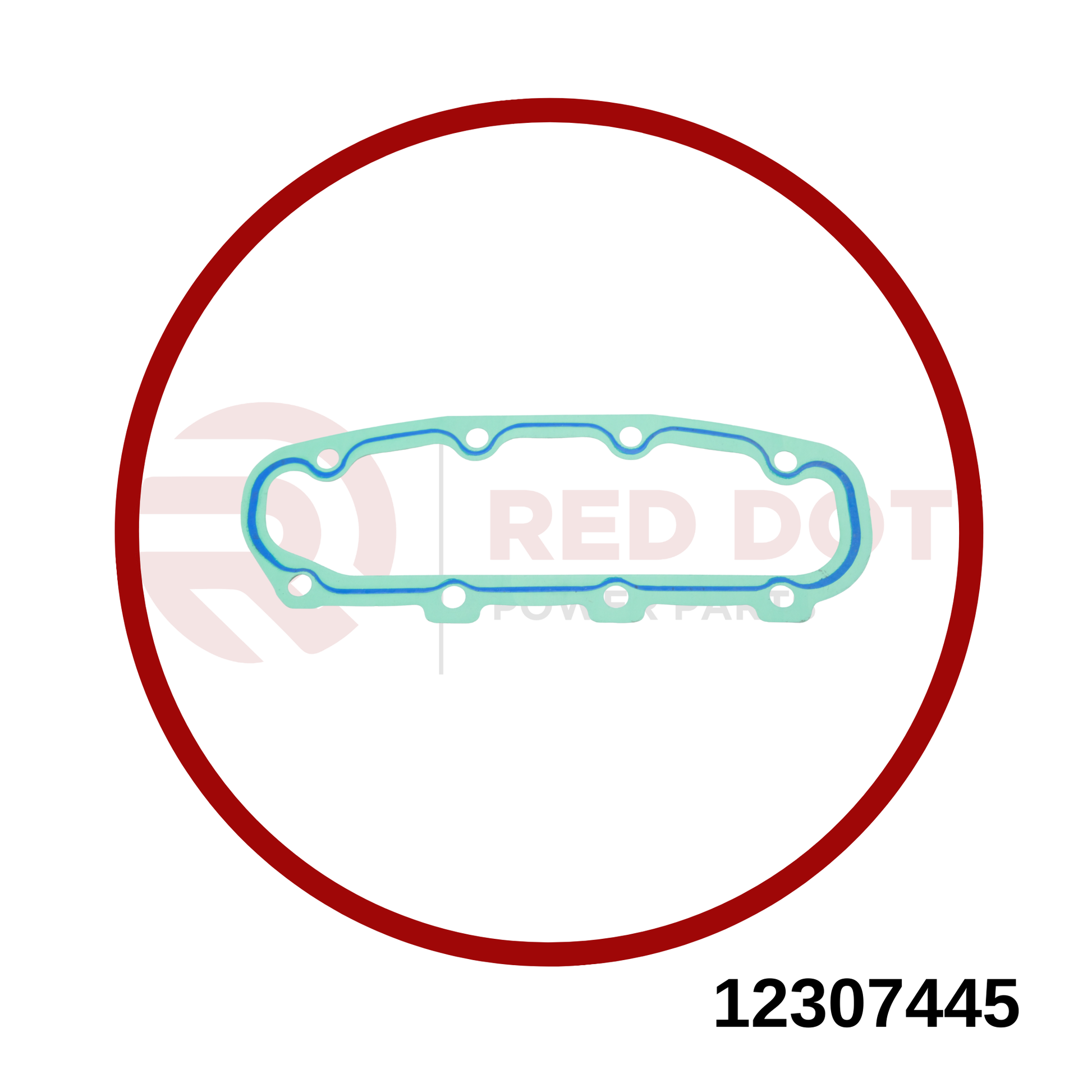 Dichtung VGL 12307445 MWM